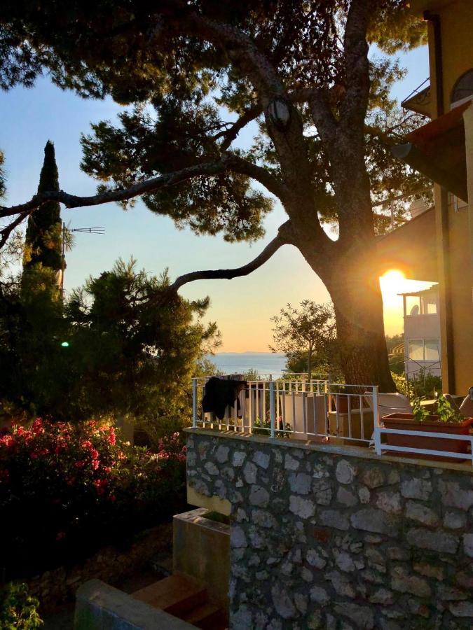 Holiday Home Andrea Primošten Buitenkant foto